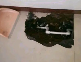 新安卫生间测漏水多少钱